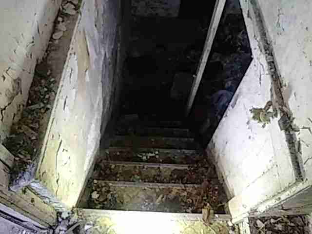 Testing again(16).jpg